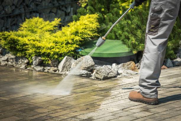 Animal Enclosure Cleaning in Justin, TX
