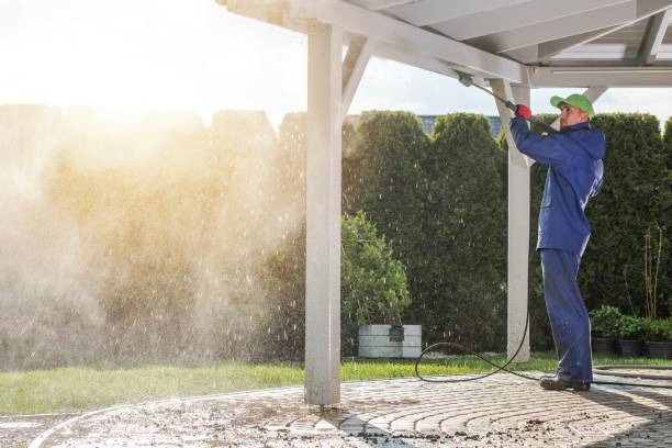 Best Boat and Dock Cleaning  in Justin, TX