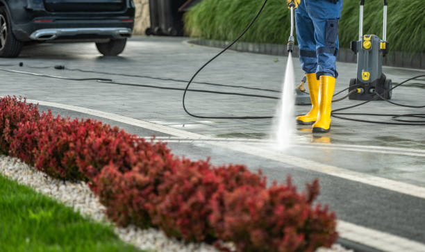 Best Driveway Pressure Washing  in Justin, TX
